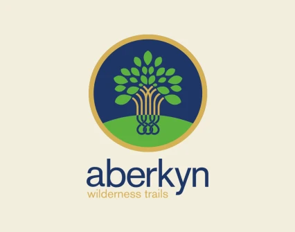 Aberkyn - A McKinsey Company